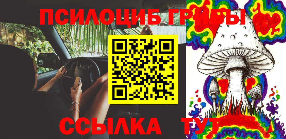 Кулебаки  Галлюциногенные грибы MAGIC MUSHROOMS  Вход с VPN 