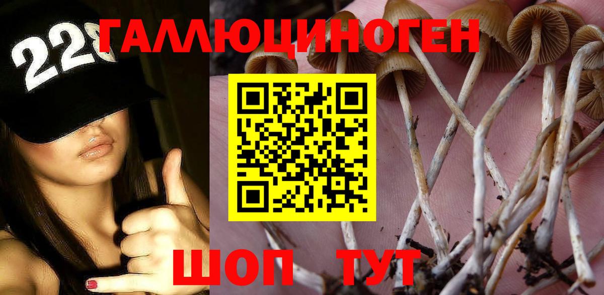 Галлюциногенные грибы GOLDEN TEACHER Кулебаки